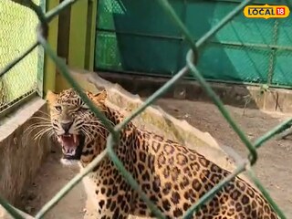 জঙ্গলমহল জুলজিক্যাল পার্ক জঙ্গলমহল জুলজিক্যাল পার্ক