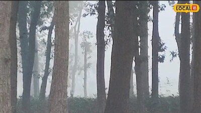 কুয়াশায় ঢাকা ঝাড়গ্রাম।