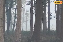 Jhargram Weather Today: সকাল থেকে কুয়াশায় মুখ ঢাকল ঝাড়গ্রাম, দৃশ্যমানতা তলানিতে! বড়দিনে খেলা দেখাবে আবহাওয়া, দেখুন IMD'র মেগা আপডেট