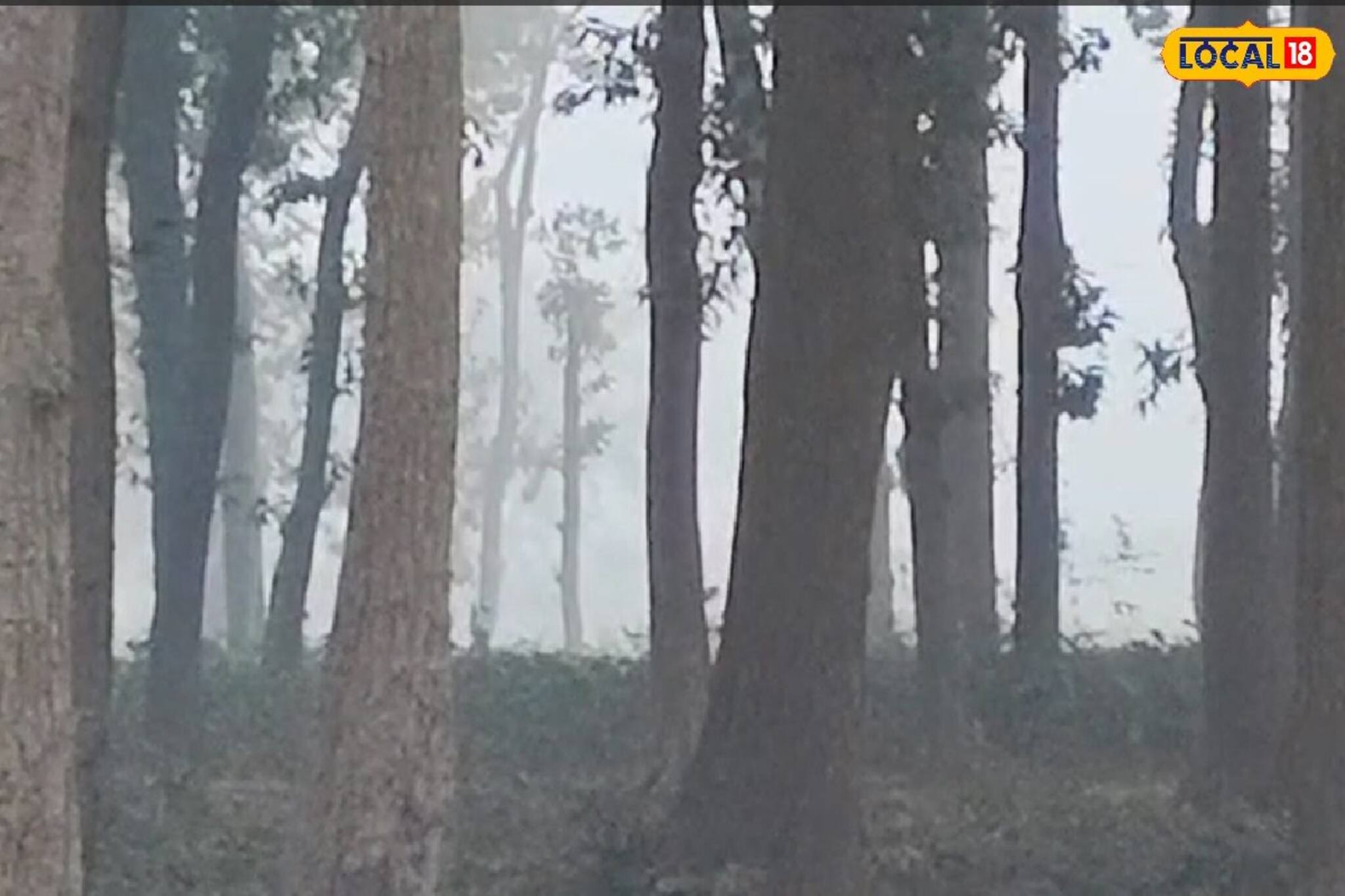 কুয়াশায় ঢাকা ঝাড়গ্রাম, দৃশ্যমানতা তলানিতে! বড়দিনে আবহাওয়ার খেলা, রইল IMD'র আপডেট কুয়াশায় ঢাকা ঝাড়গ্রাম, দৃশ্যমানতা তলানিতে! বড়দিনে আবহাওয়ার খেলা, রইল IMD'র আপডেট