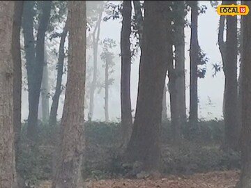 কুয়াশায় ঢাকা ঝাড়গ্রাম, দৃশ্যমানতা তলানিতে! বড়দিনে আবহাওয়ার খেলা, রইল IMD'র আপডেট কুয়াশায় ঢাকা ঝাড়গ্রাম, দৃশ্যমানতা তলানিতে! বড়দিনে আবহাওয়ার খেলা, রইল IMD'র আপডেট