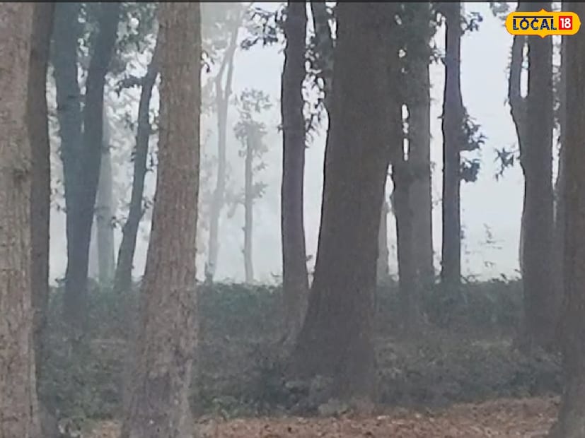 শীতের দাপটে কাঁপছে বাংলা। পৌষমাসের শুরুতেই জুবুথুবু অবস্থা মানুষের। উত্তর থেকে দক্ষিণ, সর্বত্র নেমেছে তাপমাত্রার পারদ। শীতের দাপটে কাঁপছে বাংলা। পৌষমাসের শুরুতেই জুবুথুবু অবস্থা মানুষের। উত্তর থেকে দক্ষিণ, সর্বত্র নেমেছে তাপমাত্রার পারদ।