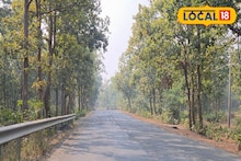 Jhargram Weather Today: কনকনে ঠান্ডার সঙ্গে কুয়াশায় ঢাকল ঝাড়গ্রাম, কেমন থাকবে আজকের আবহাওয়া জানাল দফতর