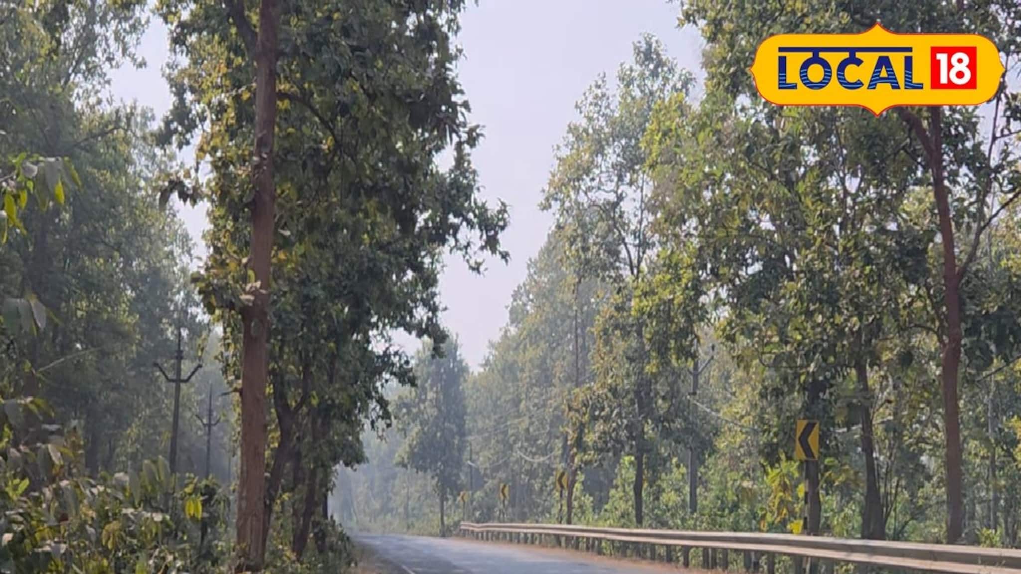 Jhargram Weather Today: কনকনে ঠান্ডা, তাপমাত্রা আরও নামবে ঝাড়গ্রামে! কী হতে চলেছে জানালো আবহাওয়া দফতর
