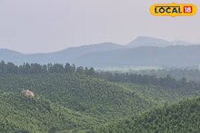 Jhargram Weather Forecast: সপ্তাহান্তে হুড়মুড়িয়ে তাপমাত্রার পারদ নামবে ঝাড়গ্রামে, তবে ক্ষণস্থায়ী! আবহাওয়ার পূর্বাভাস নিয়ে এসে গেল মেগা আপডেট