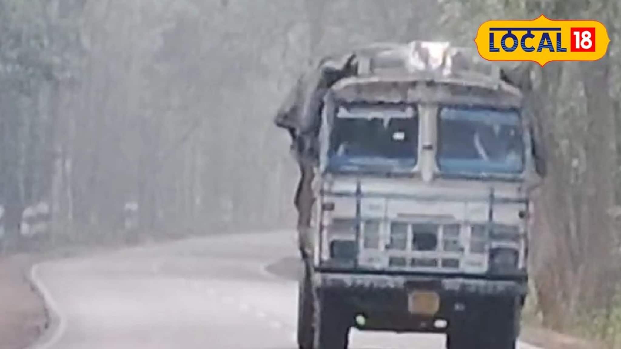 Jhargram Weather Today: হুড়মুড়িয়ে নামল তাপমাত্রার পারদ, কুয়াশায় ঢাকল অরণ্য সুন্দরী! শীতের কামড়ের চেনা ছবি ঝাড়গ্রামে
