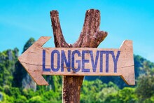 Add 10 years to your life: রোজের সহজ-সাধারণ ১০ অভ্যাসেই আয়ু বাড়বে ১০ বছর, দীর্ঘদিন সুস্থ থাকার সিক্রেট জানালেন চিকিৎসক