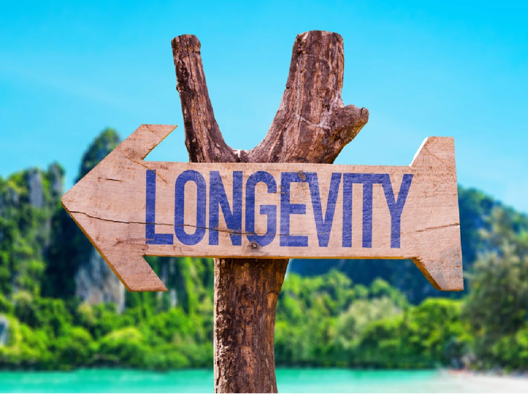 রোজের সহজ-সাধারণ ১০ অভ্যাসেই আয়ু বাড়বে ১০ বছর, দীর্ঘদিন সুস্থ থাকার সিক্রেট চিকিৎসকের