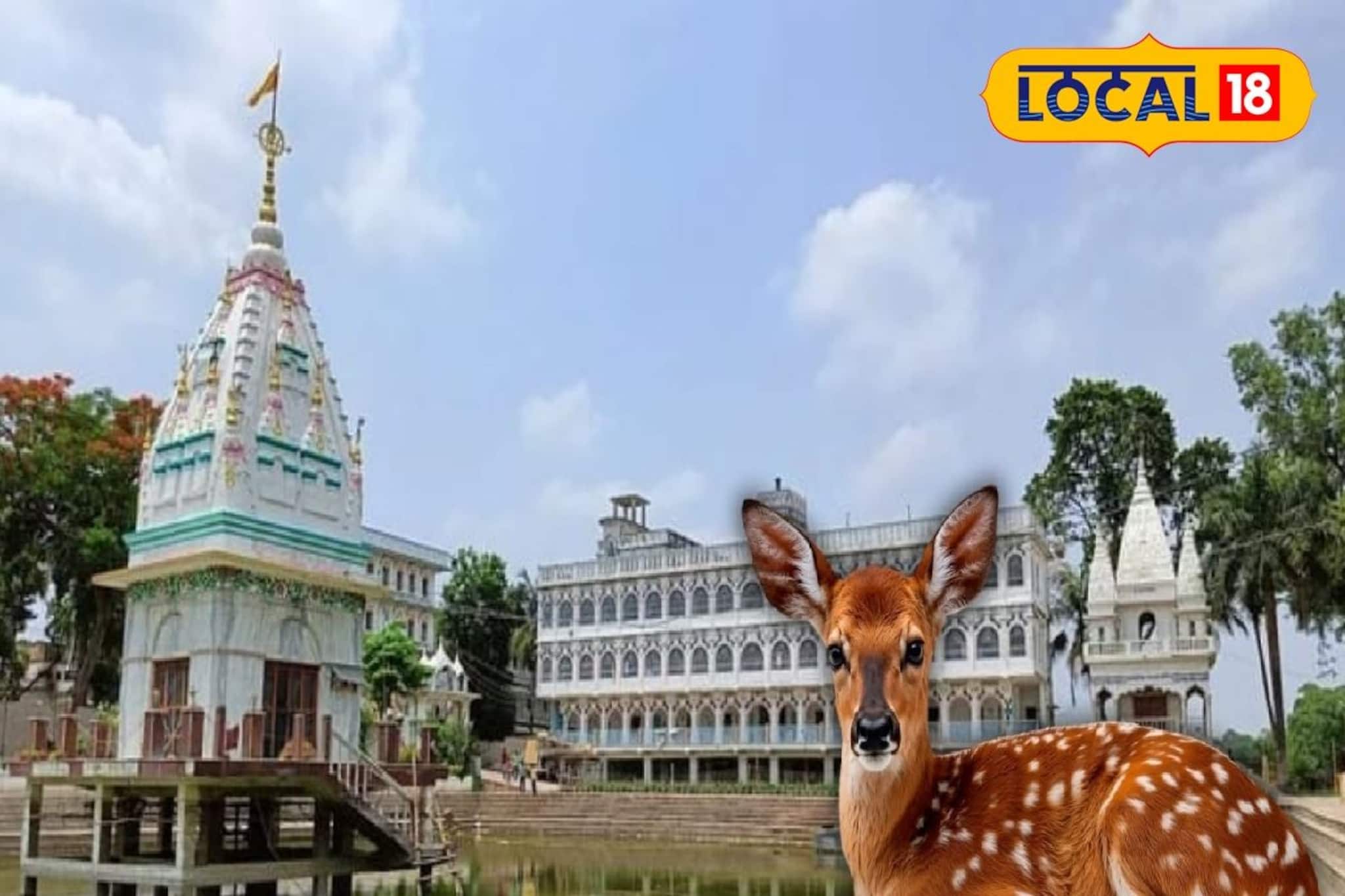 চারদিক জলে ঘেরা মন্দির, বিনাখরচে হরিণ দর্শন! ডিসেম্বরের ছুটিতে ঘুরে আসুন নদিয়ার সারস্বত মঠ