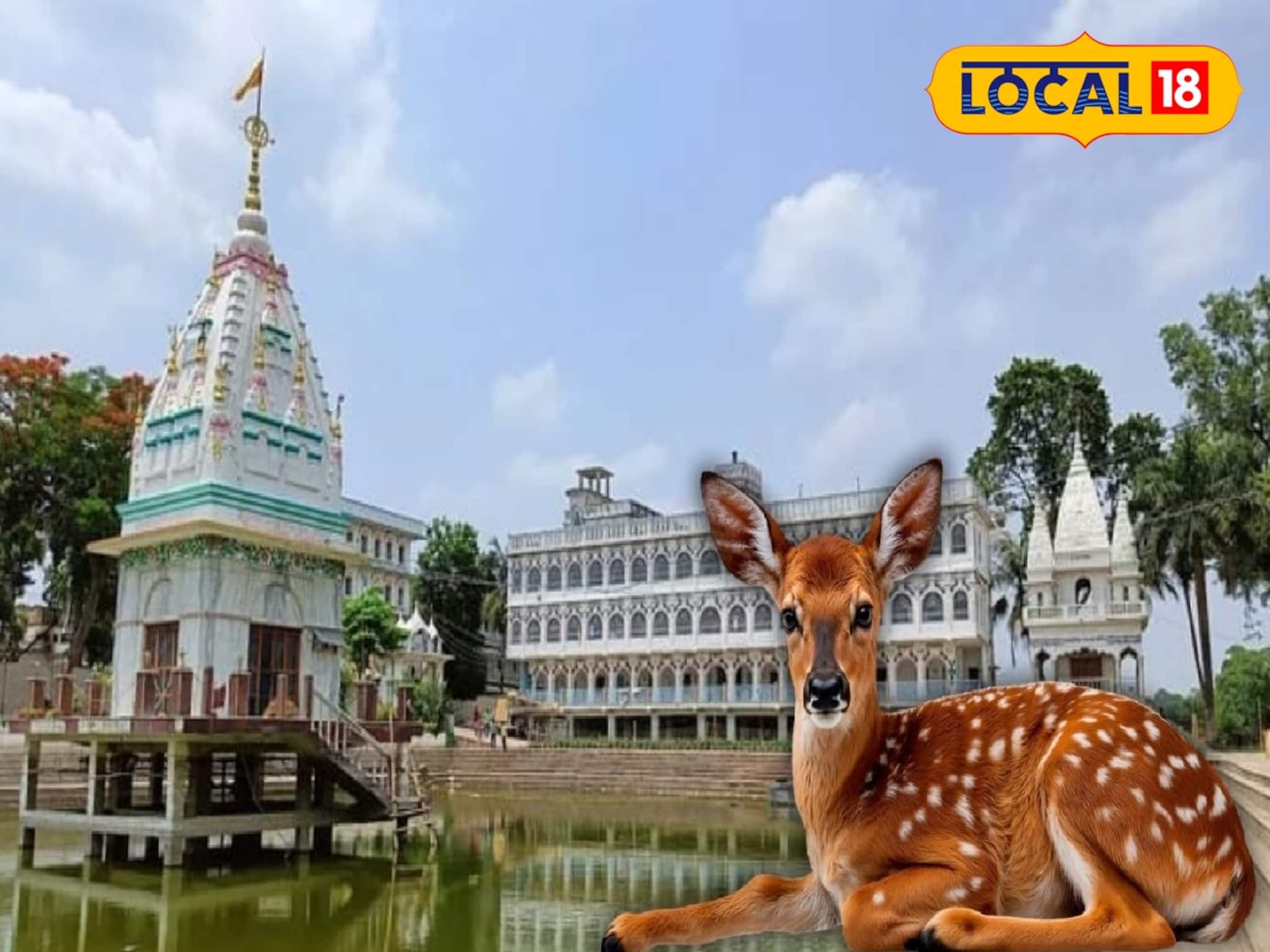 চারদিক জলে ঘেরা মন্দির, বিনাখরচে হরিণ দর্শন! বছরের শেষে সুযোগ মিস করতে নারাজ পর্যটকরা