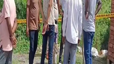 ফাইল ছবি