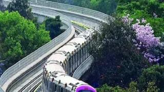 বেঙ্গালুরুতে মেট্রোর সামনে ঝাঁপ দিয়ে মৃত্যু যুবকের! ছিল না পরিচয়পত্র, পার্পল লাইনে স্থগিত পরিষেবা