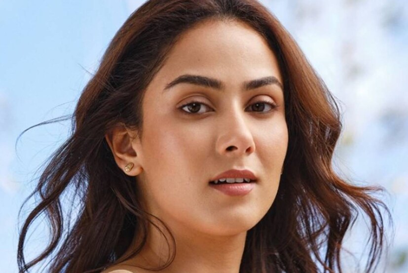 মীরা এবং শাহিদ অ্যাথলেটিফ্রিক-এ বিনিয়োগ করেছেন-মীরা এবং শাহিদ কাপুর হলেন অ্যাথলেটিফ্রিক-এর ব্র্যান্ড অ্যাম্বাসেডর এবং বিনিয়োগকারী। এটি একটি প্রিমিয়াম মার্কিন অ্যাথলেটিফ্রিক ব্র্যান্ড যা এই বছর ভারতীয় বাজারে প্রবেশ করেছে, যদিও এটি ২০২১ সালে বিশ্বব্যাপী চালু হয়েছিল। এটি মো এবং তাঁর স্ত্রী নূর ওয়াধওয়ানি দ্বারা প্রতিষ্ঠিত। মীরার বোন নূর ওয়াধওয়ানি এই কোম্পানির প্রতিষ্ঠাতা হলেও তার অন্য বোন প্রিয়া এবং প্রিয়ার স্বামী বিদিত তুলশান যথাক্রমে সিইও এবং সিওও। এক অর্থে, এই ব্যবসায় সকল রাজপুত বোন তাঁদের স্বামী-স্ত্রীসহ একসঙ্গে কাজ করেন।