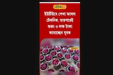 Money Making Tips : ইউটিউবে শেখা আসল টেকনিক, তারপরেই শুরু! ৩ লক্ষ টাকা আয় করছেন যুবক