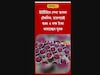 ইউটিউবে শেখা আসল টেকনিক, তারপরেই শুরু! ৩ লক্ষ টাকা আয় করছেন যুবক