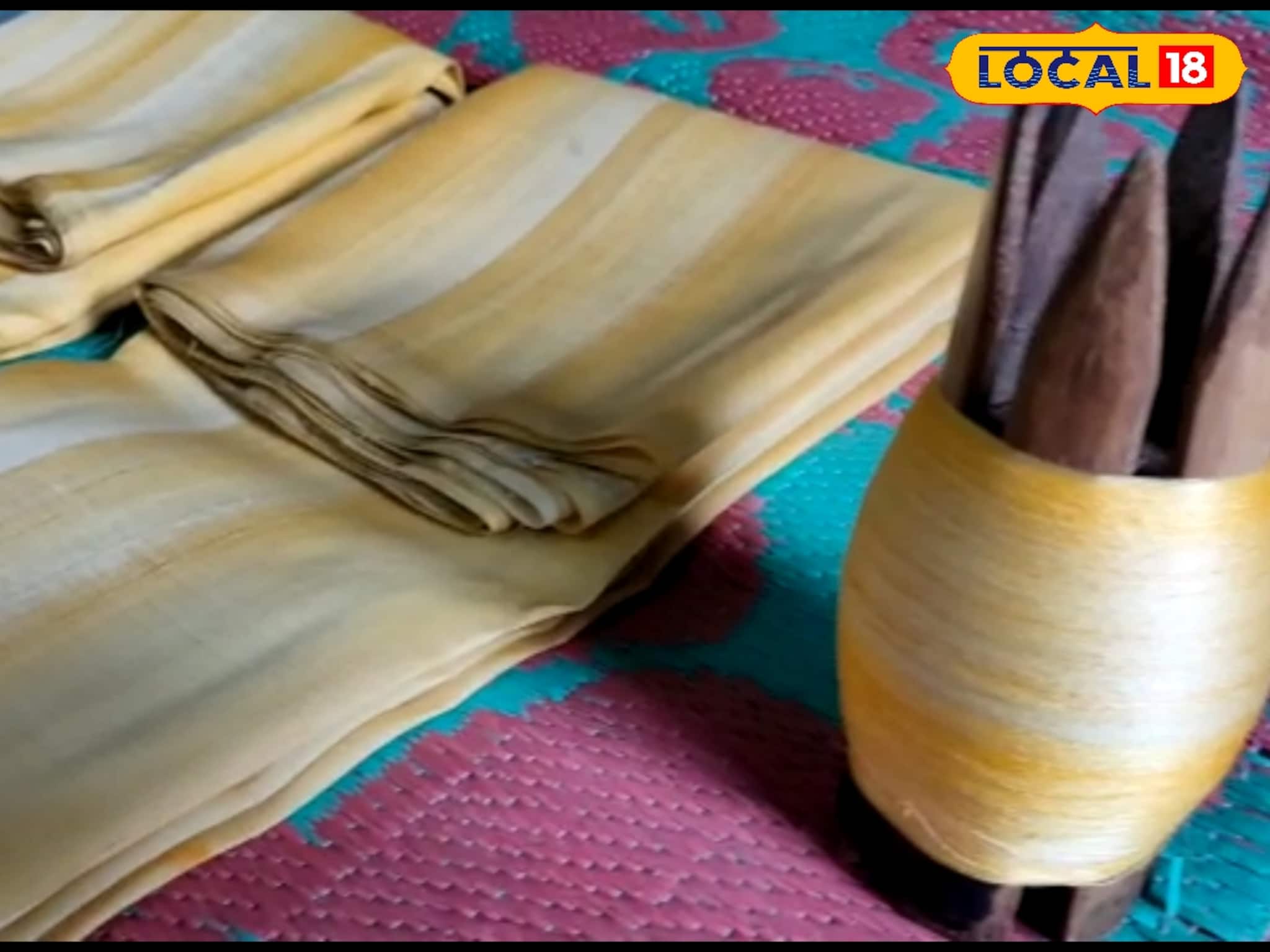 Silk Industry: এক সময় ছিল জেলার গর্ব, আজ চাহিদা তলানিতে! মুর্শিদাবাদ রেশম শিল্পের দৈন্যদশা, মুখ ফেরাচ্ছেন অনেকে