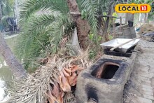 Nolen Gur Price: পিঠে-পুলির মরশুমে ব্যাপক দাম বাড়ার আশঙ্কা নলেন গুড়ের! জোড়া কারণে মাথায় হাত ব্যবসায়ী থেকে ক্রেতাদের