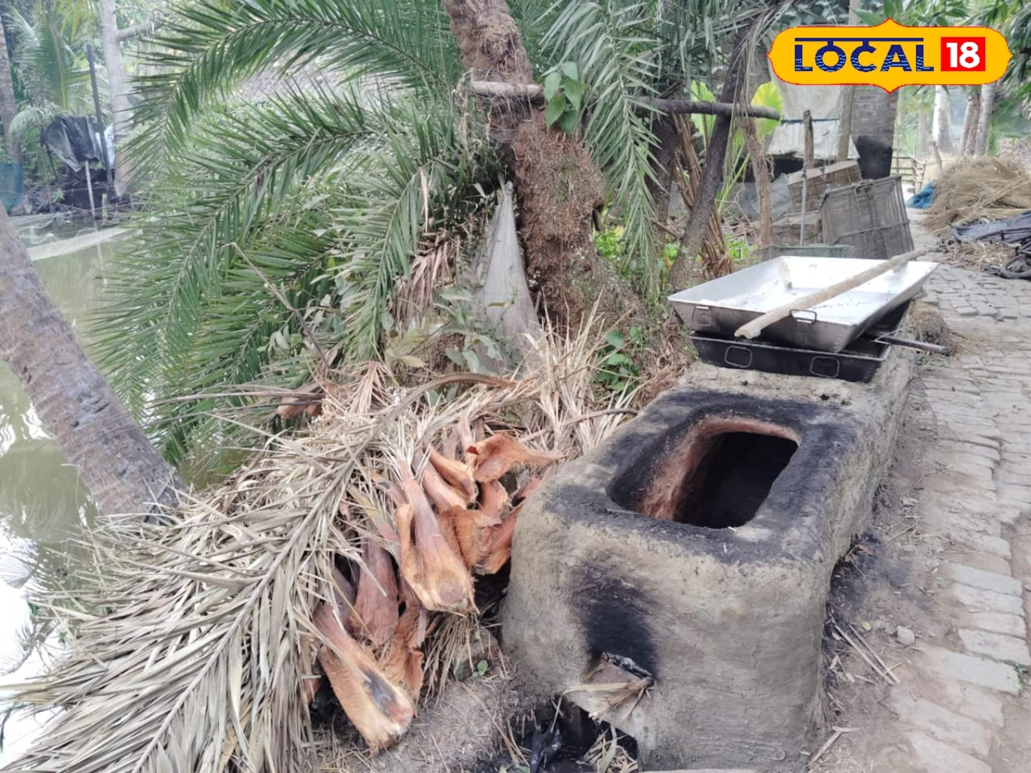 পিঠে-পুলির মরশুমে ব্যাপক দাম বাড়ার আশঙ্কা নলেন গুড়ের! জোড়া কারণে মাথায় হাত সবার