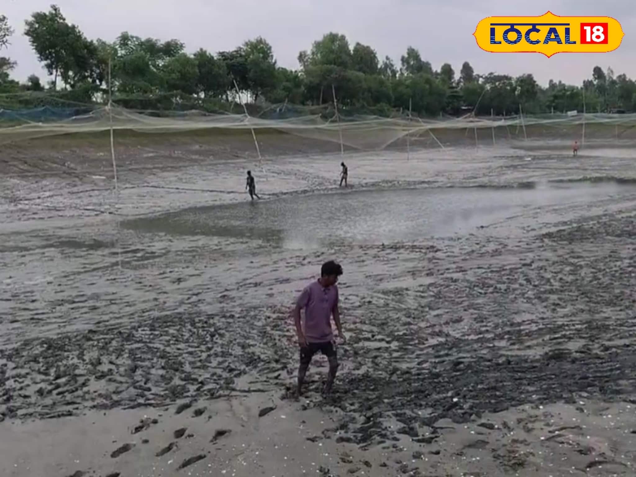 এই ছোট্ট টেকনিকে পুকুরে উপচে পড়বে মাছ! চাষের গোপন ফর্মুলা ফাঁস করলেন অভিজ্ঞরা