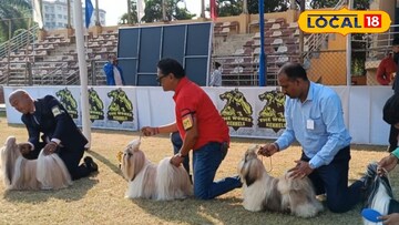 নিউটাউনে