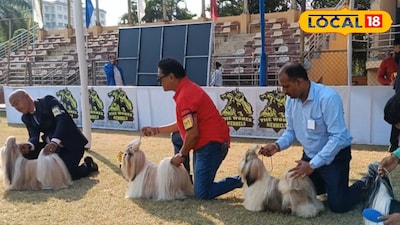 নিউটাউনে ডগ শো