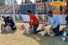 North 24 Parganas News: কুকুরদের মন ভাল করা 'কেরামতি', নিউটাউনে মেগা ইভেন্ট! পারফরম্যান্স দেখতে বিদেশ থেকে হাজির বিচারক