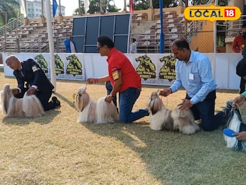 নিউটাউনে