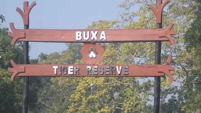 কী হল বক্সায়? কী হল বক্সায়?