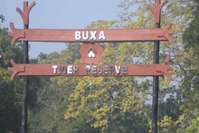 North Bengal News: বড়সড় অগ্নিকাণ্ড থেকে রক্ষা পেল বক্সা টাইগার রিজার্ভ! বাঁচিয়ে দিল আমজনতা, নাহলে কী যে হত...