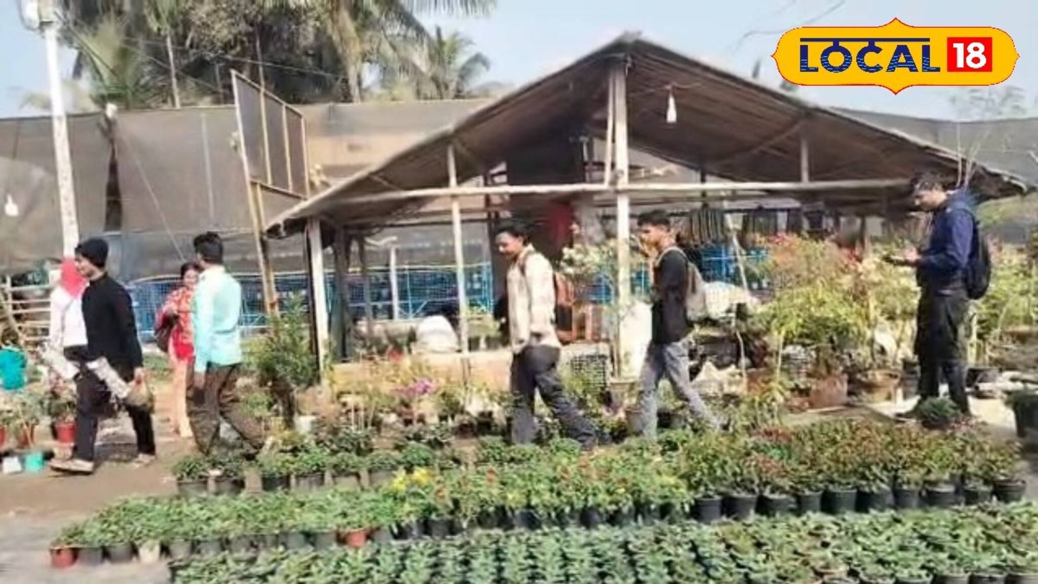 চাষাবাদ ছেড়ে চারাগাছ তৈরি করে মোটা টাকা রোজগার করছেন নন্দকুমারের চাষিরা