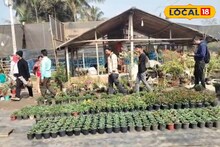 Business Idea: চাষাবাদে লাভের গুড় খাচ্ছিল পিঁপড়েতে! তারপরেই নন্দকুমারের চাষিরা খুঁজে পেলেন চারাগাছ তৈরির নতুন বিজনেস আইডিয়া, জীবনে এল নয়া মোড়