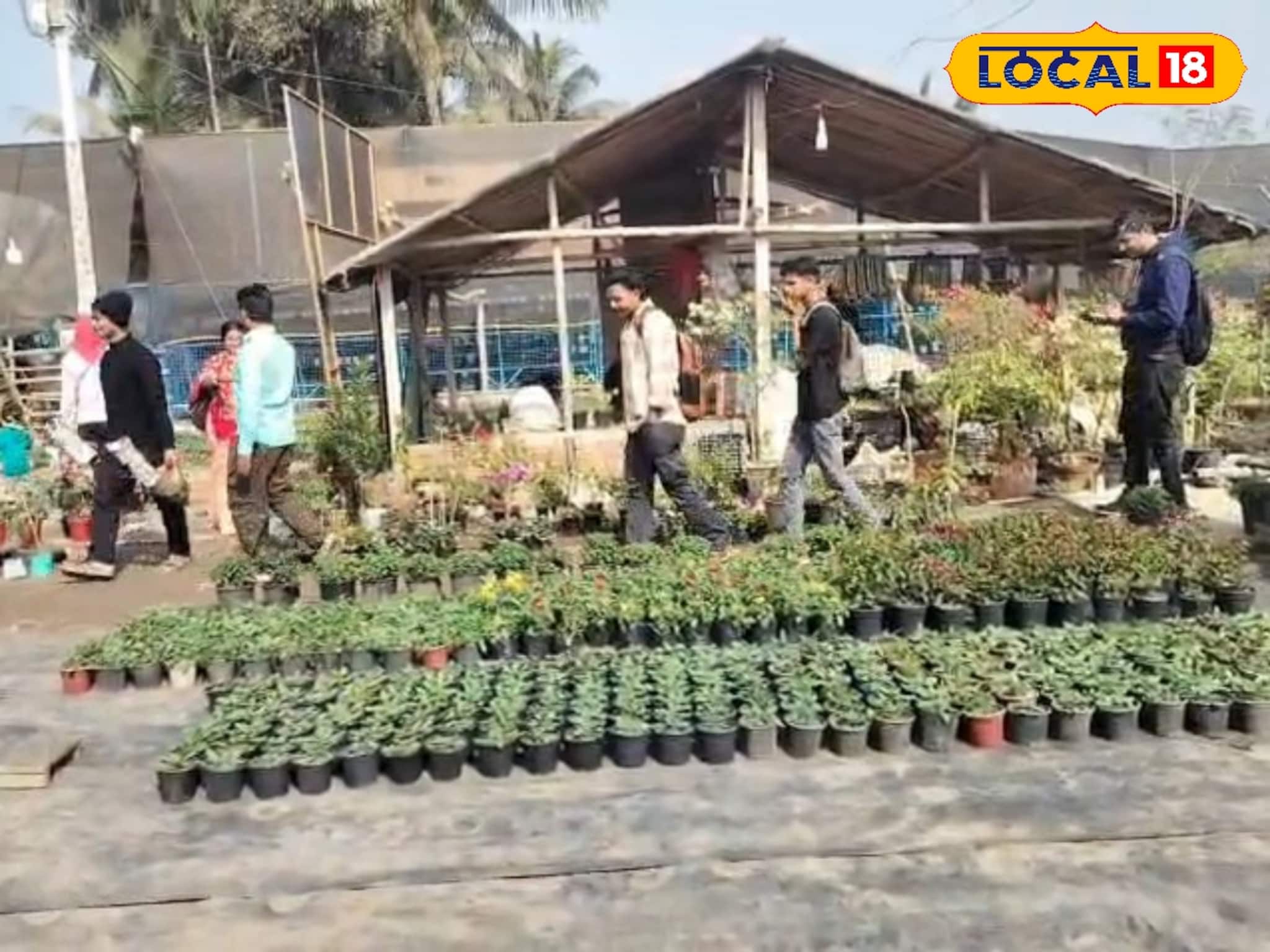 চাষাবাদ ছেড়ে চারাগাছ তৈরি করে মোটা টাকা রোজগার করছেন নন্দকুমারের চাষিরা