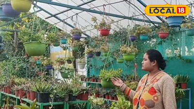 নার্সারি