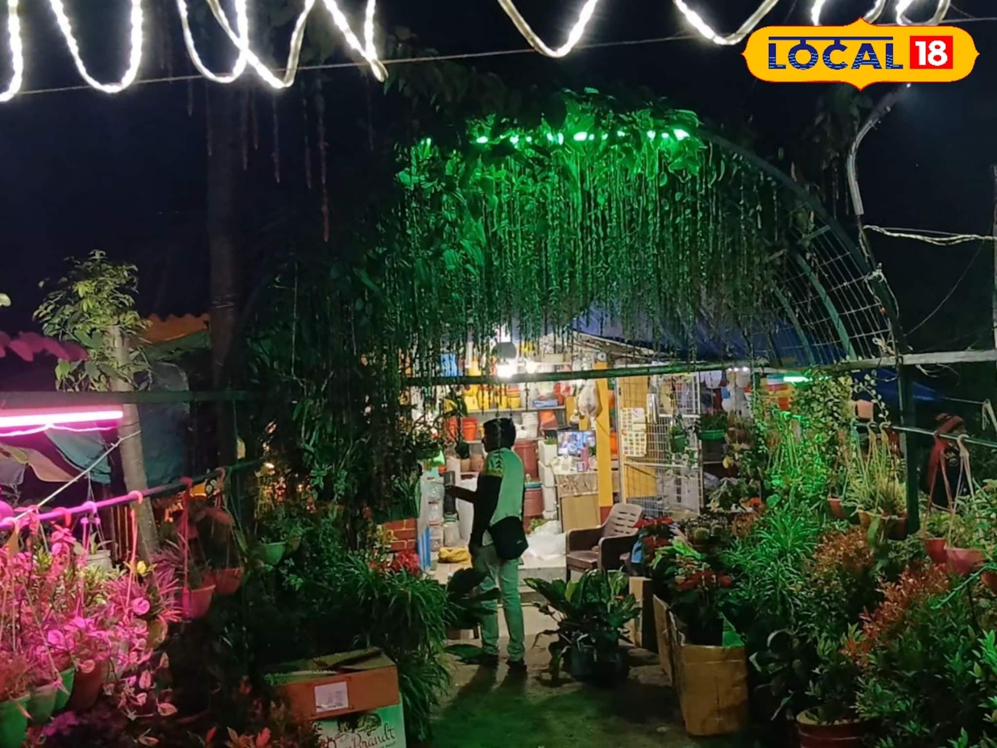 চোখ ধাঁধানো ছাদ বাগান এবার বাজেট ফ্রেন্ডলি! মাত্র ৫০০০ টাকা থাকলেই ব্যাস