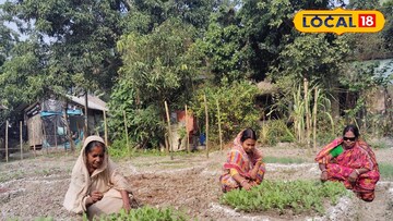 পুষ্টিবাগান