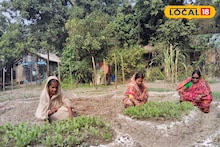 Nutrition Garden: এক চিলতে জায়গাতেই পুষ্টির খনি! পুষ্টিবাগানের সঠিক পদ্ধতি নজর কাড়ছে এলাকায়, লাভের মুখ দেখছেন ভেটকিপুরের মহিলারা