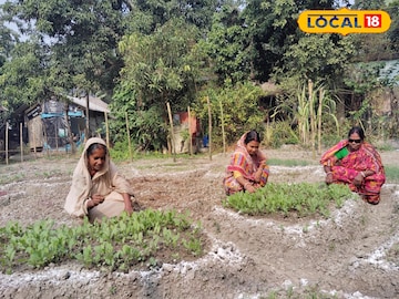 পুষ্টিবাগান