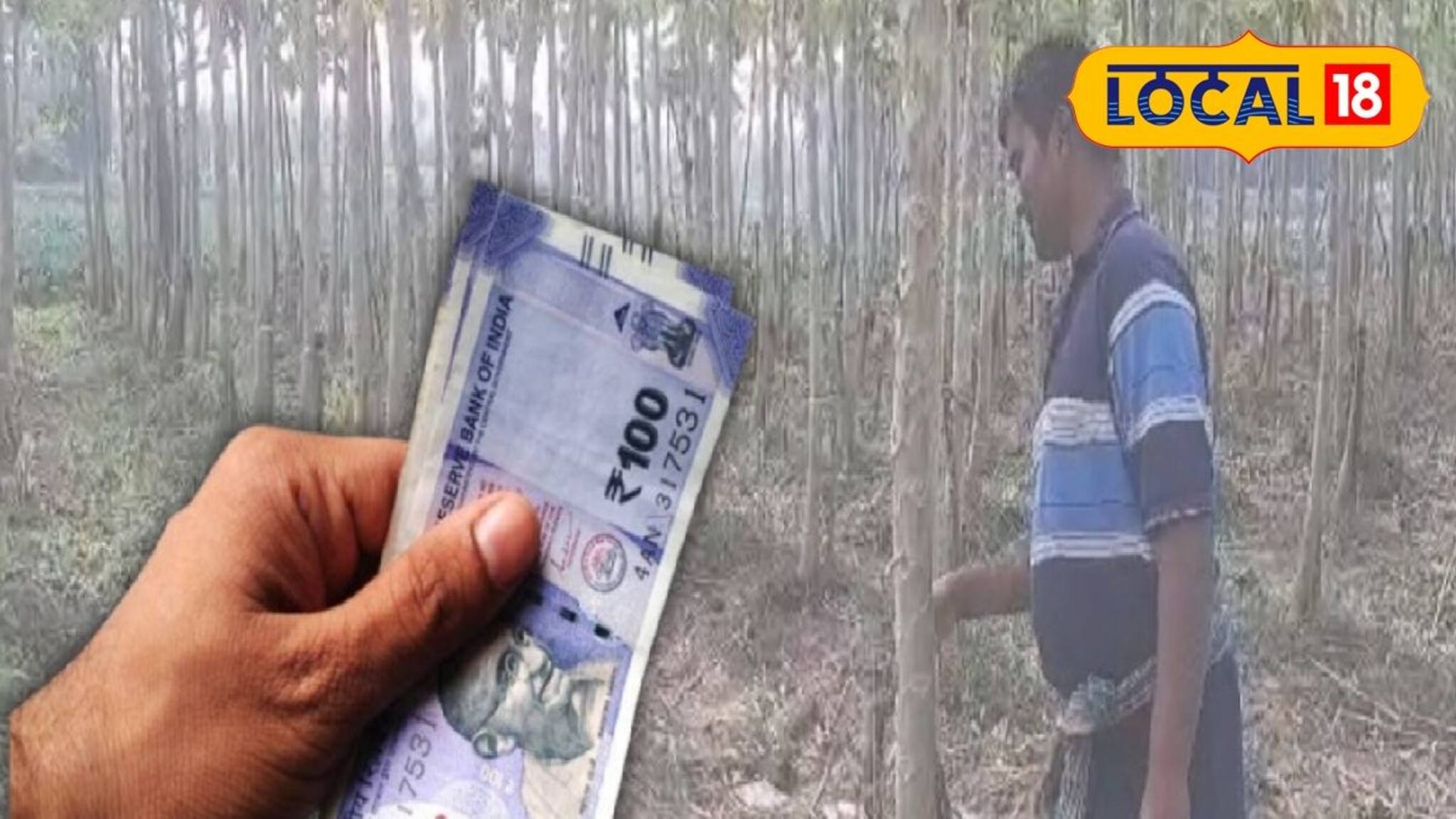 খরচ-পরিশ্রম দুটোই কম! পূর্বস্থলীর চাষিদের আয়ের নয়া দিশা দেখাচ্ছে এই চাষ