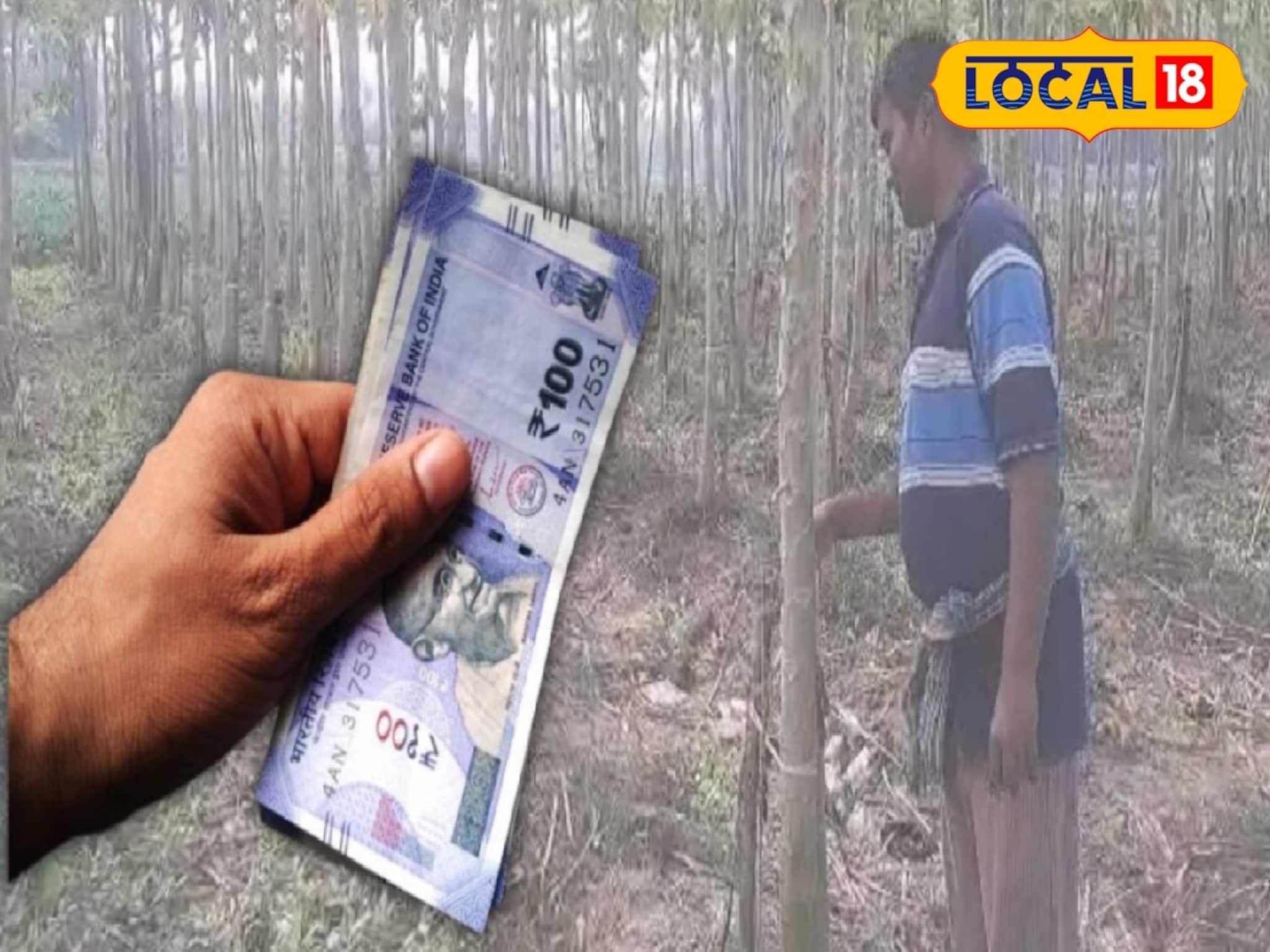 Agriculture News: সারা বছর চাহিদা থাকে তুঙ্গে, খরচ-পরিশ্রম দুটোই কম! পূর্বস্থলীর চাষিদের আয়ের নয়া দিশা দেখাচ্ছে এই চাষ Agriculture News: সারা বছর চাহিদা থাকে তুঙ্গে, খরচ-পরিশ্রম দুটোই কম! পূর্বস্থলীর চাষিদের আয়ের নয়া দিশা দেখাচ্ছে এই চাষ