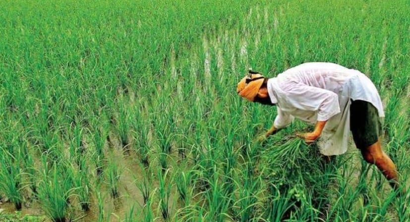 কিস্তির টাকা পাওয়ার জন্য ই-কেওয়াইসি, ফার্মার রেজিস্ট্রি, ব্যাঙ্ক অ্যাকাউন্টে ডিবিটি অপশন অন, জমির নথি এবং মোবাইল নম্বর ও আধার লিঙ্ক থাকা বাধ্যতামূলক ৷ আবেদন পত্রে নাম, ঠিকানা, মোবাইল নম্বর বা আধার নম্বর ভুল থাকলে সেটি ঠিক করিয়ে নিন ৷ না হলে আটকে যেতে পারে টাকা ৷ 