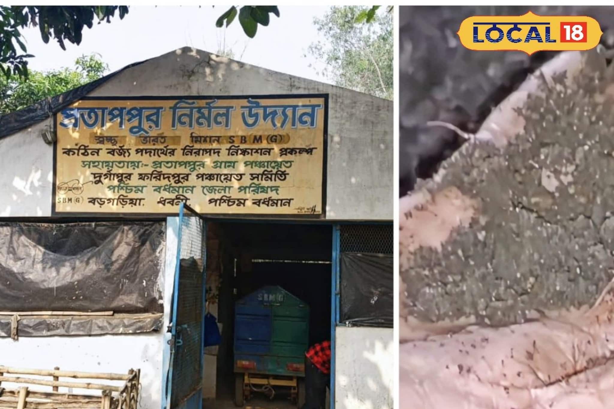 আবর্জনাতেই লুকিয়ে আয়ের চাবিকাঠি! অবিশ্বাস্য হলেও করে দেখাচ্ছে প্রতাপপুর পঞ্চায়েত আবর্জনাতেই লুকিয়ে আয়ের চাবিকাঠি! অবিশ্বাস্য হলেও করে দেখাচ্ছে প্রতাপপুর পঞ্চায়েত