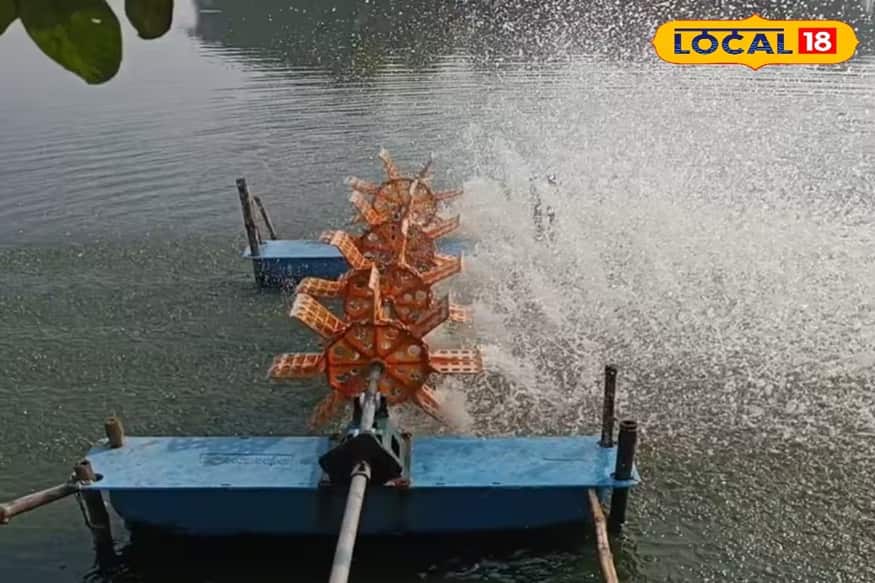 আধুনিক প্রযুক্তিতে মাছের ভেড়িতে নতুন দিগন্ত, ভেনামি চিংড়ি চাষে লাভবান বসিরহাটের চাষীরা।