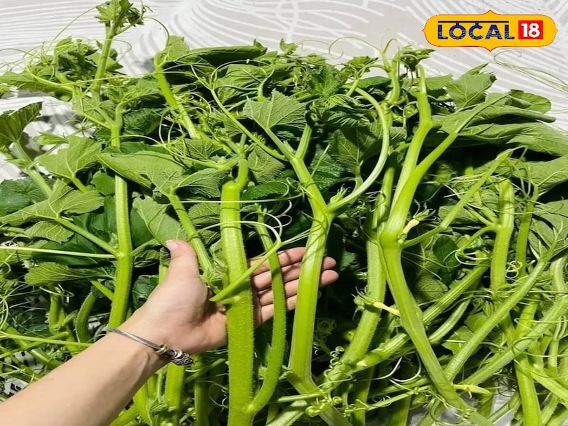 কুমড়োর পাতায় প্রচুর পরিমাণে আয়রন রয়েছে। যা দেহের আয়রনের ঘাটতি পূরণ করে দেহের রক্তের অভাব হতে দেয় না। নারী ও শিশুদের মধ্যে আয়রনের ঘাটতি দেখা যায়। তাই এক্ষেত্রে কুমড়ো শাক ভাল অস্ত্র হতে পারে।