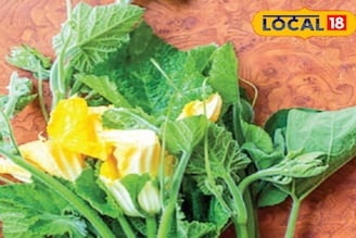 শরীরের বহু জটিল রোগের যম কুমড়ো শাক! খেলেই রোগ মুক্তি! জানুন চিকিৎসকের মত