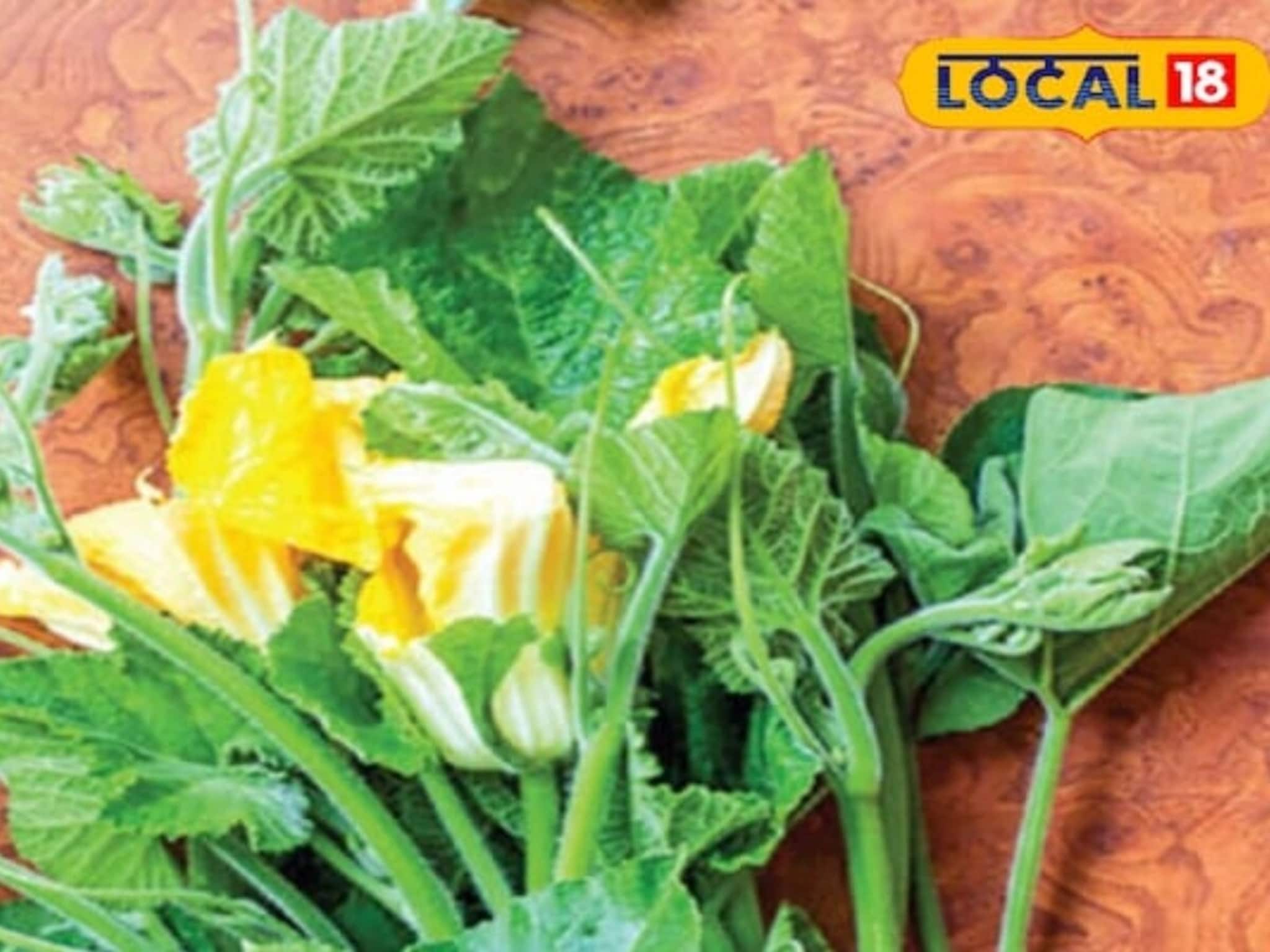 Pumpkin Leaves Benefits: শরীরের বহু জটিল রোগের যম কুমড়ো শাক! খেলেই রোগ মুক্তি! জানুন চিকিৎসকের মত