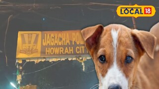 পাঁচটি কুকুর ছানাকে আগুনে পুড়িয়ে মারার অভিযোগ