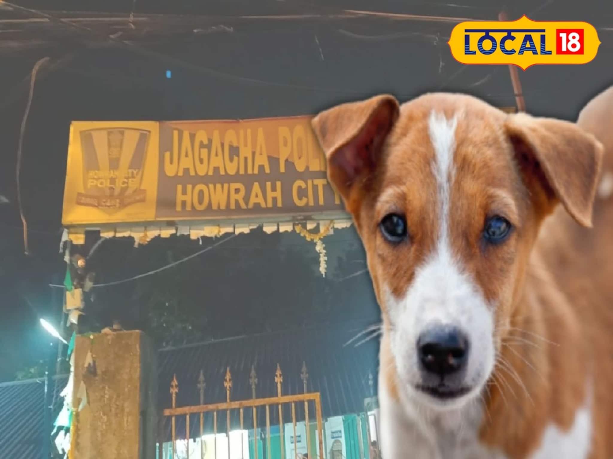 চরম পৈশাচিক! ৫ সারমেয় শাবককে জ্যান্ত পুড়িয়ে মারার অভিযোগ হাওড়ায়, চাঞ্চল্য এলাকায়