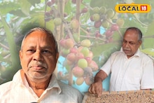 Coffee Cultivation: জিরো ইনভেস্টমেন্ট, বছর বছর ফলন! পাথুরে মাটিতে কফি চাষ অবসরপ্রাপ্ত সিআরপিএফ অফিসারের, আয়ের নয়া দিশা ঝাড়গ্রামে