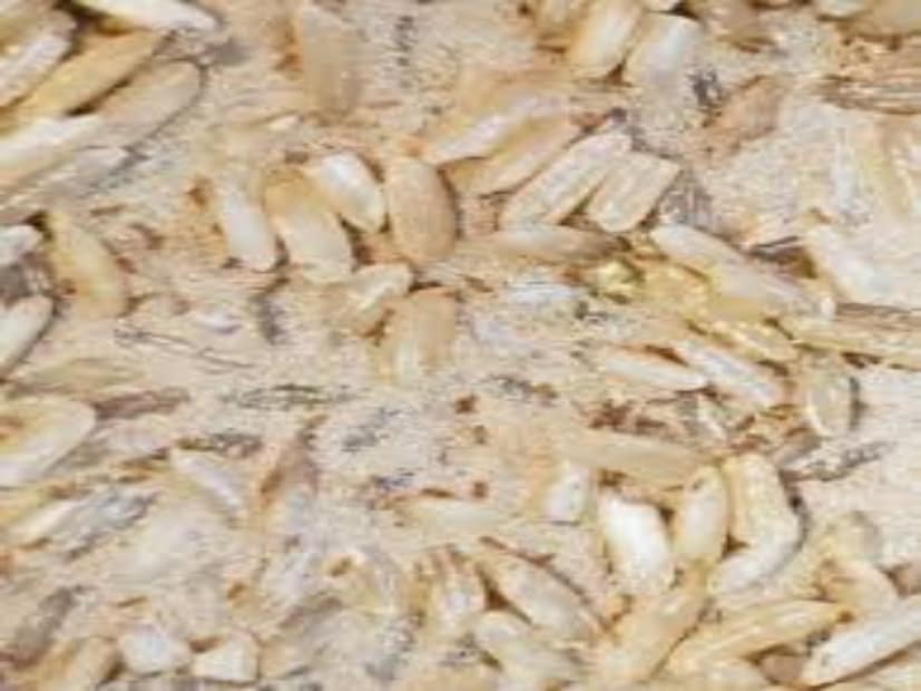 সাম্প্রতিক গবেষণায় দেখা গিয়েছে যে সিলিকা জেল ডেসিক্যান্ট প্যাকেট, যা আর্দ্রতা শোষণ করে দুর্দান্ত ভাবে, সেই জেলই আবার কিন্তু এই সমস্যার একটি অত্যন্ত কার্যকর সমাধান হতে পারে।