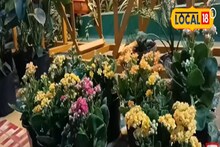 চোখ ধাঁধানো ছাদ বাগান এবার Budget Friendly ! মাত্র ৫০০০ টাকা থাকলেই ব্যাস